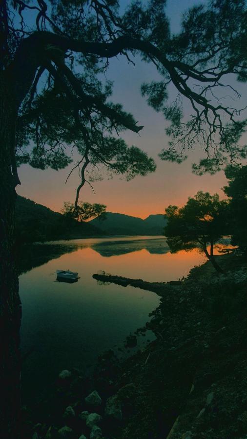 Villa Paradise Garden Ston Dış mekan fotoğraf