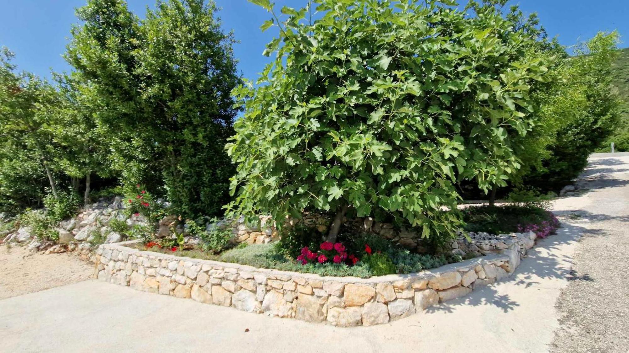 Villa Paradise Garden Ston Dış mekan fotoğraf