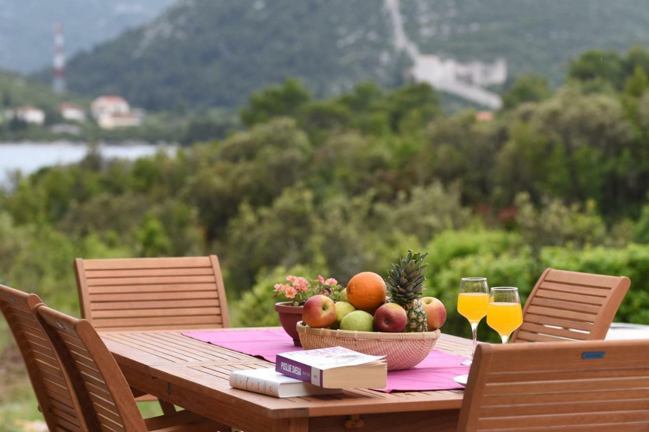 Villa Paradise Garden Ston Dış mekan fotoğraf