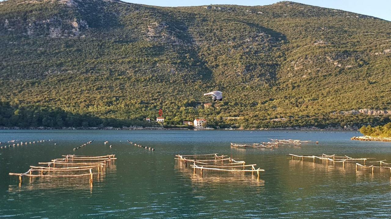 Villa Paradise Garden Ston Dış mekan fotoğraf